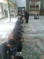 گزارش تصویری از عزاداری حسینی در پردیس 11