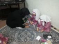گزارش تصویری از بازدید از دبستان دخترانه مینو  11
