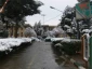 گزارش تصویری از یک روز برفی  18