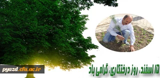 مسابقه وبلاگ نویسی و طراحی پوستر  با موضوع درختکاری(تیم سایبری هلال احمر)