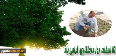 مسابقه وبلاگ نویسی و طراحی پوستر  با موضوع درختکاری(تیم سایبری هلال احمر)