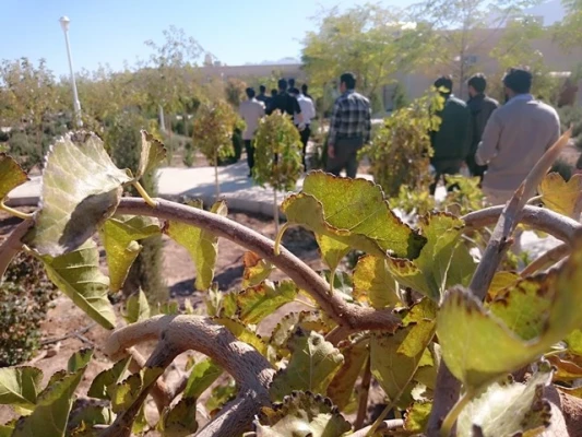 بازدید اعضای انجمن علمی دانشجویی مشاوره پردیس از مجتمع آسایشگاه های معلولین و سالمندان فاطمه الزهرا(س) تفت 5