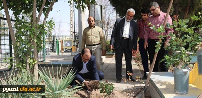 در پردیس شهیدان پاک نژاد یزد صورت گرفت:

کاشت نهال به مناسبت نکوداشت هفته منابع طبیعی و روز درخت کاری