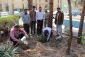 در پردیس شهیدان پاک نژاد یزد صورت گرفت:

کاشت نهال به مناسبت نکوداشت هفته منابع طبیعی و روز درخت کاری 4