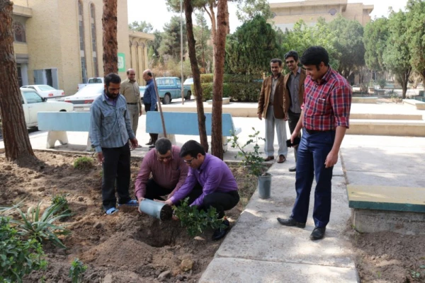 در پردیس شهیدان پاک نژاد یزد صورت گرفت:

کاشت نهال به مناسبت نکوداشت هفته منابع طبیعی و روز درخت کاری 8