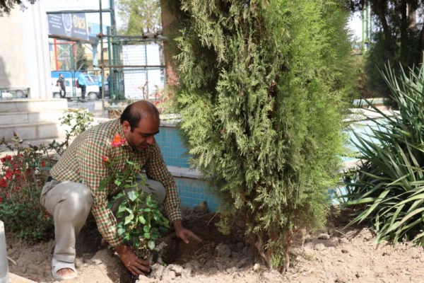 در پردیس شهیدان پاک نژاد یزد صورت گرفت:

کاشت نهال به مناسبت نکوداشت هفته منابع طبیعی و روز درخت کاری 13