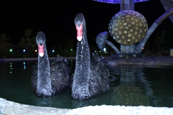 با حضور جمعی از دانشجویان پردیس:

اردوی یزدگردی برگزار شد. 10