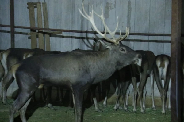 با حضور جمعی از دانشجویان پردیس:

اردوی یزدگردی برگزار شد. 13