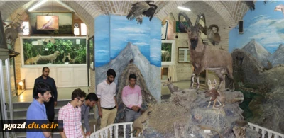 بازدید جمعی از دانشجومعلمان پردیس  از موزه علوم طبیعی یزد