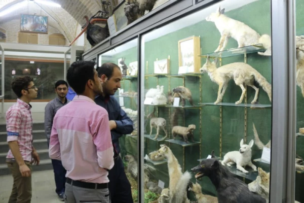بازدید جمعی دانشجومعلمان پردیس  از موزه علوم طبیعی یزد 15