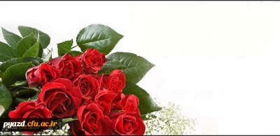 درخشش دانشجومعلمان پردیس شهیدان پاک نژاد در مرحله کشوری بیست و هفتمین جشنواره فرهنگی و اجتماعی دانشجومعلمان دانشگاه فرهنگیان سراسر کشور